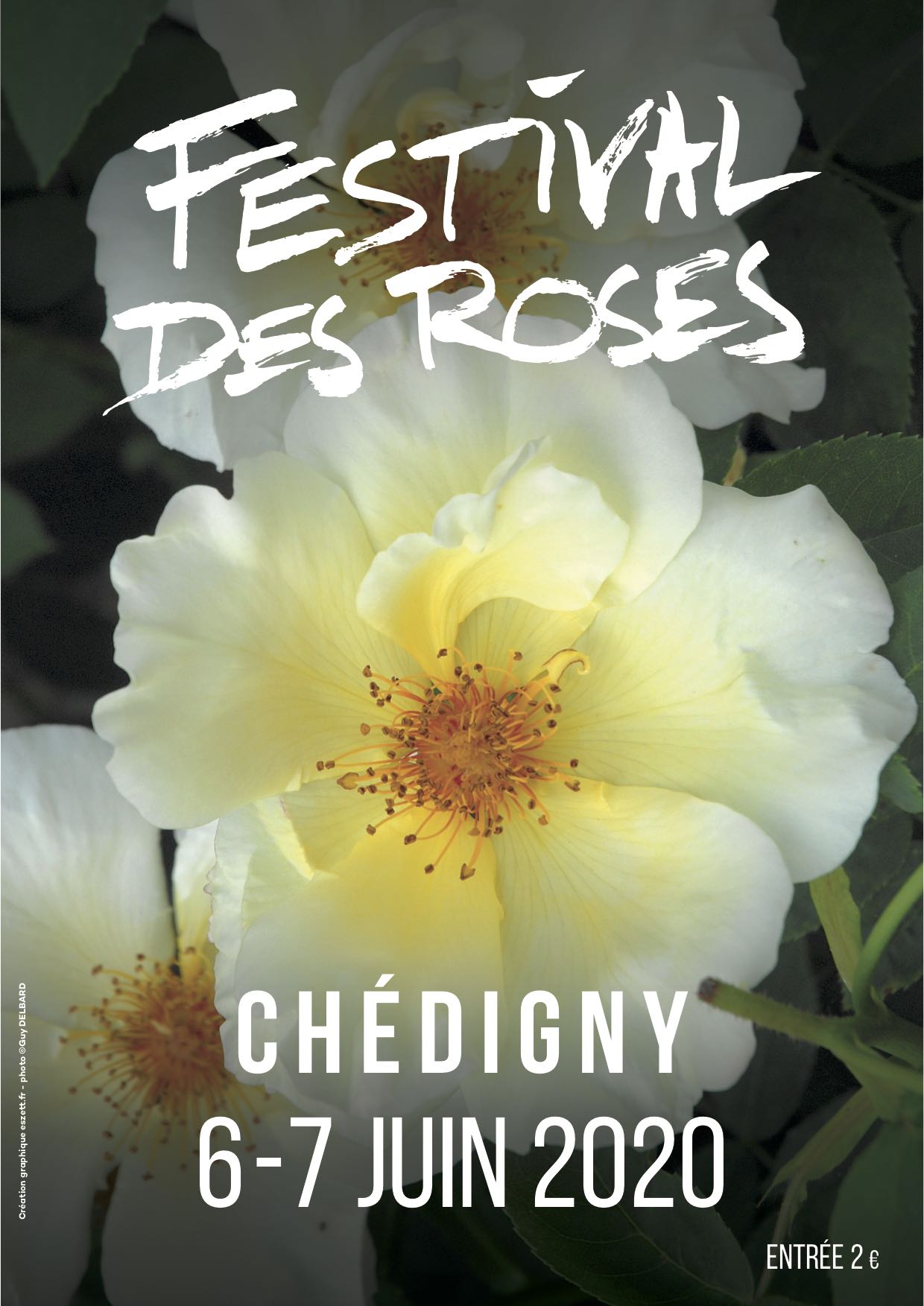 Le Festival des Roses de Chédigny fête sa 15° édition Société