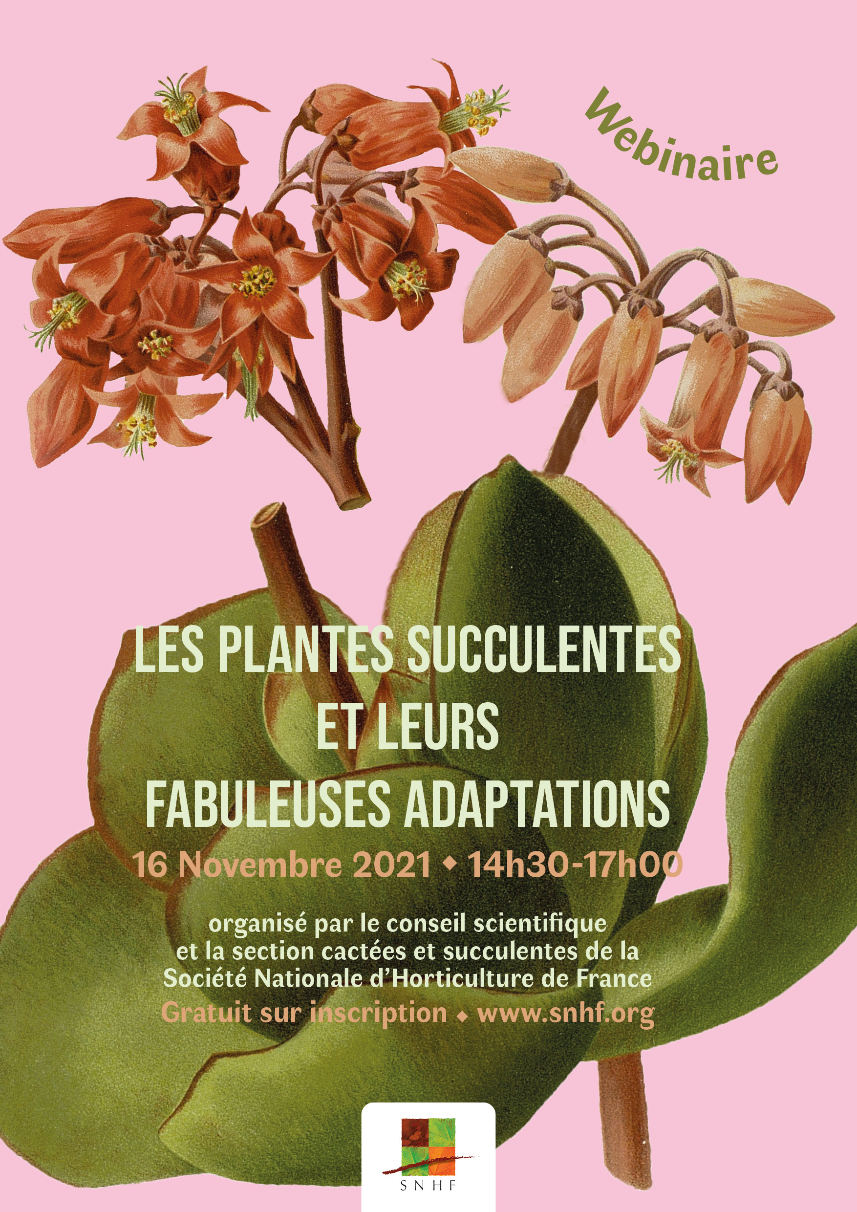 La conservation des fuchsias durant l'hiver - Jardins de France