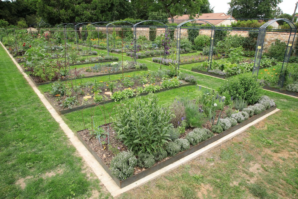 Vers l'autonomie légumière : jardiner au fil des saisons - Le