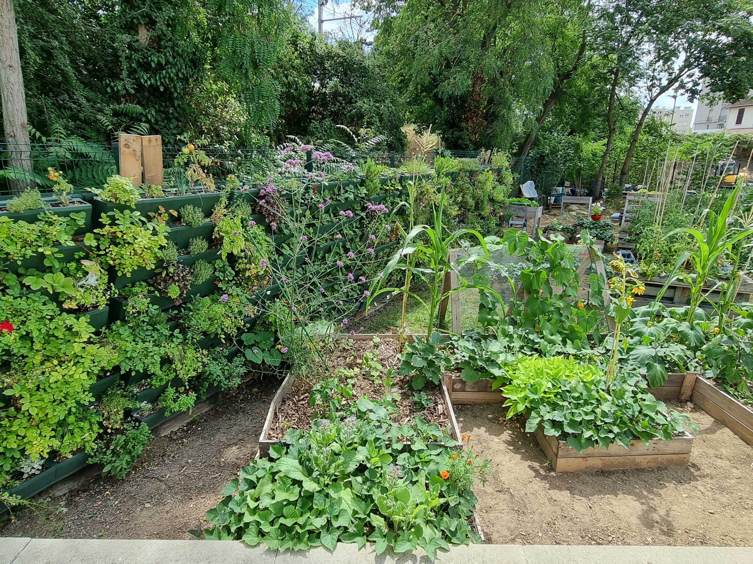 4 raisons de travailler avec un jardinier pour embellir son extérieur