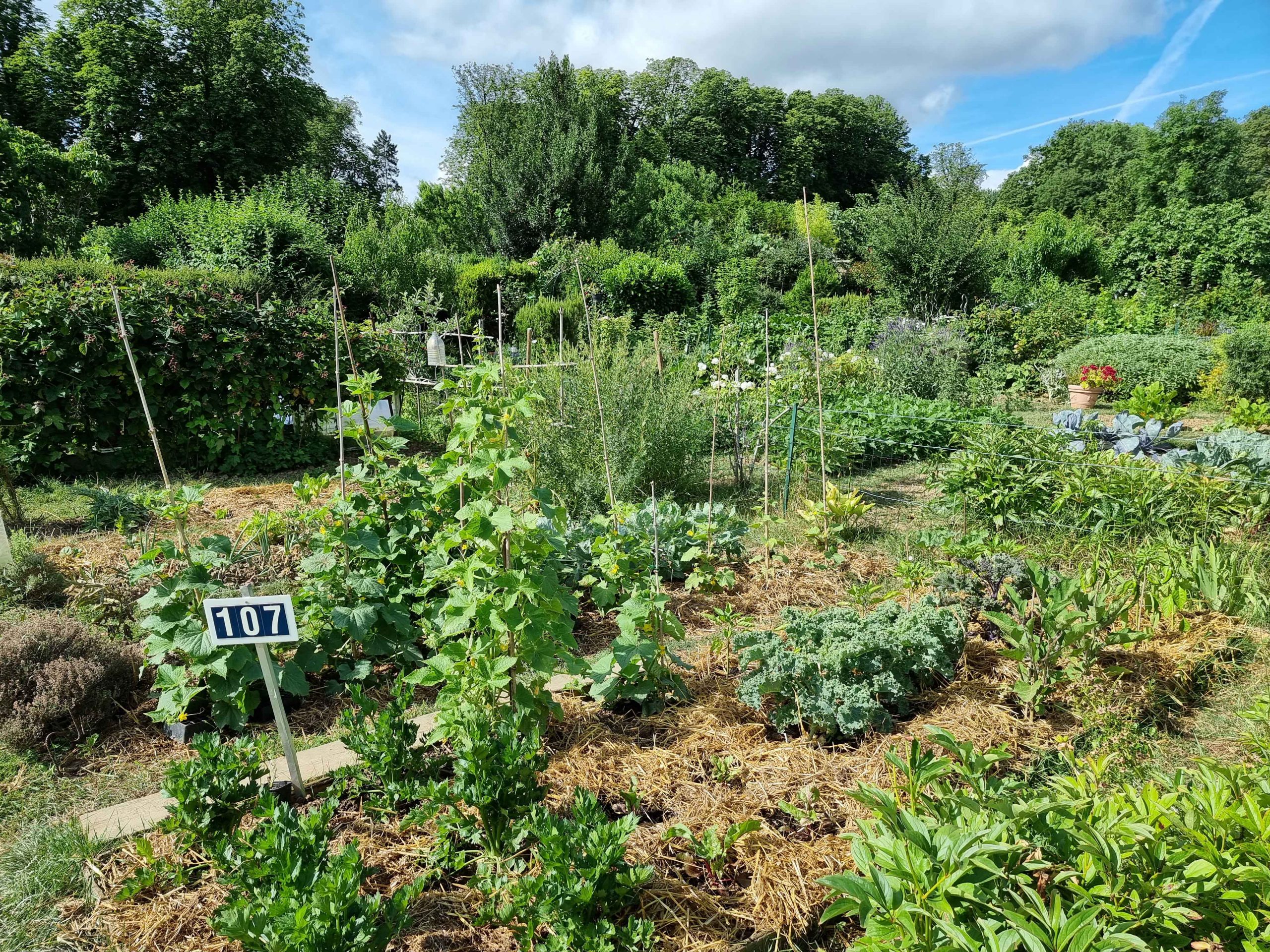 Cycle d'ateliers de jardinage au naturel : aménager un jardin vivant